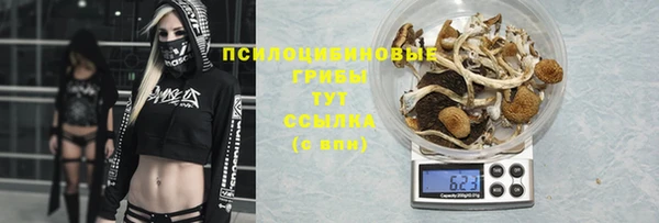 экстази Богородицк